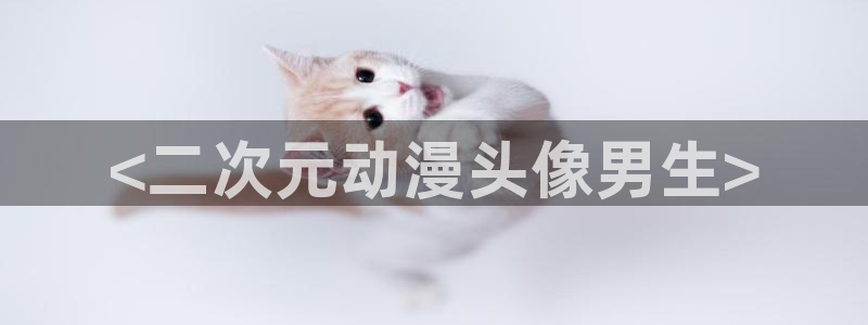 里番动漫在线免费：<二次元动漫头像男生>