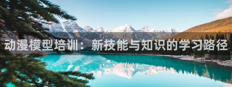 bl动漫里番：动漫模型培训：新技能与知识的学习路径