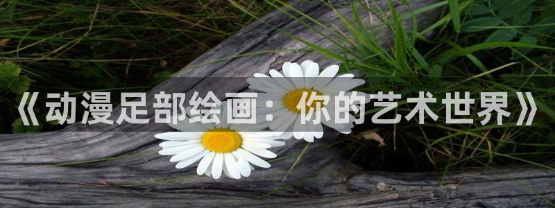 少女漫画大全里番：《动漫足部绘画：你的艺术世界》