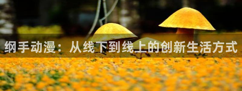 里番动漫排名：纲手动漫：从线下到线上的创新生活方式