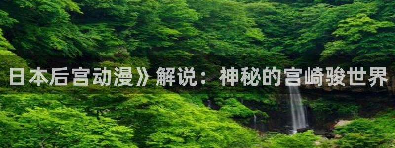 类似黑兽里番的动漫：日本后宫动漫》解说：神秘的宫崎骏世界