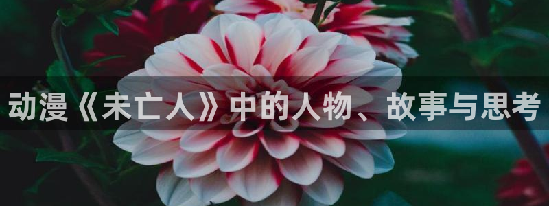 日本动漫里番动漫：动漫《未亡人》中的人物、故事与思考