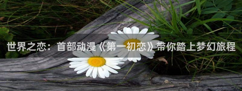 里番动漫网在线观看：世界之恋：首部动漫《第一初恋》带你踏上梦幻旅程