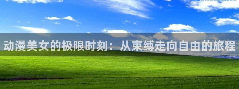 里番漫画在线看：动漫美女的极限时刻：从束缚走向自由的旅程